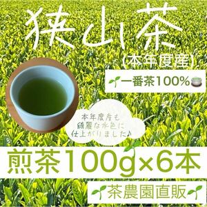 【狭山茶】茶畑直販☆煎茶100g×6本(令6年産)☆一番茶100%☆深蒸し茶 緑茶 日本茶 お茶の葉 茶葉 本年度産 2024