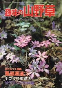 趣味の山野草　１月号 1985 No.54　☆北アルプス最奥 黒部源流の山々に咲く　☆手作り年賀状　☆サクラソウの仲間