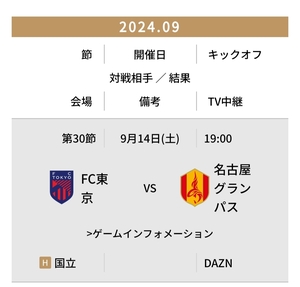 2枚連番！9/14 19:00 FC東京vs 名古屋グランパス＠国立競技場