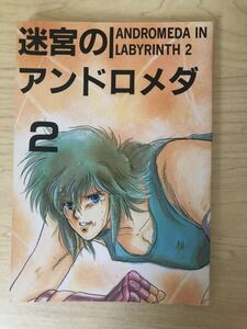 聖闘士星矢 同人誌 迷宮のアンドロメダ2 聖闘士レディース 98p