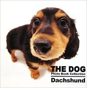 THE DOG Photo Book Collection Dachshund