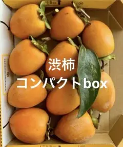 渋柿　干し柿用　コンパクトbox