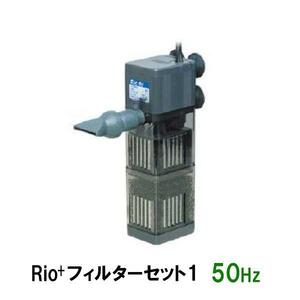 ▽カミハタ リオプラスパワーヘッド Rio+フィルターセット1 50Hz 2点目より700円引