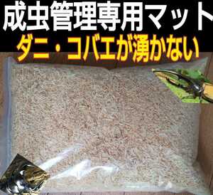 カブトムシ、クワガタの成虫管理にどうぞ！爽やかな香りの針葉樹マット☆ケース内が明るくなり生体が目立ちかっこよく見える！ダニ湧かない