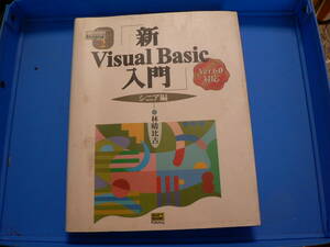 送料最安 230円 B5版08：新Visual　Basic入門 Ver.6.0対応　シニア編　林晴比古　表紙カバーあり　ソフトバンク　1999年第2刷　