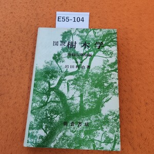 E55-104 図説 樹木学 常緑広樹編 名古屋大学講師 岩田利治著 シミあり。