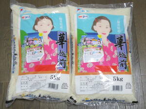 【新米・令和6年産】福井県産 華越前 はなえちぜん 5kg×2袋 10kg 令和6年8月下旬精米