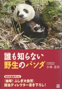 ■誰も知らない野生のパンダ　検：キンシコウ・レッサーパンダ・ジャイアントパンダ・トキ・ターキン