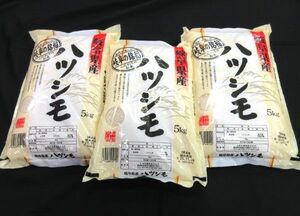 送料300円(税込)■az087■◎米 岐阜県産 ハツモノ 5kg 3袋【シンオク】