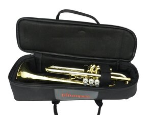 ピートランペット hyTech ハイテック ゴールド p-Trumpet 中古品