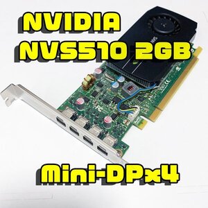 正常品 NVS510 2GB nVidia Quadro