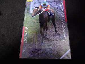 JRA ヒーロー列伝No.15 エリモジョージ クリアファイル 新品未開封 2015年来場ポイント