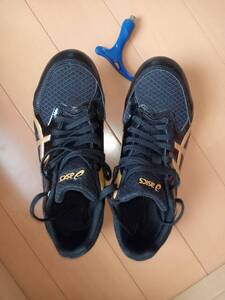 アシックス　asics　 陸上スパイク EFFORT 13　25.5cm