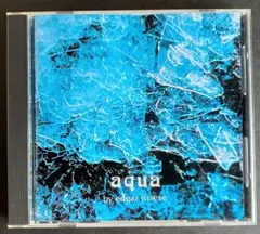 エドガー・フローゼ aqua CD