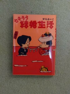 ★★セキララ結婚生活 けらえいこ★★