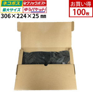 厚さ2.5cmネコポス対応 ダンボール 100枚セット 306mm×224mm×25mm ネコポス クリックポスト ゆうパケット