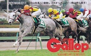 ●Gallop レッドチリペッパー 横山典弘騎手 中山牝馬Sテレカ