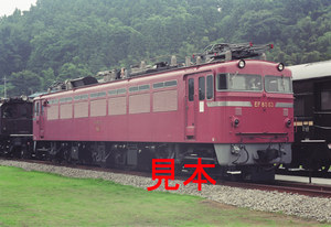 鉄道写真、6x9ネガデータ、121801120004、EF80-63、碓氷峠鉄道文化むら、2000.07.13、（6795×4666）