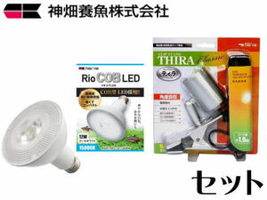 カミハタ リオコブ LED 12W クールホワイト RioCOBLED　クリップスタンドティラセット 管理80