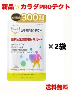 新品✨リゲイン カラダPROテクト 2袋　マルチビタミン ミネラル栄養機能食品