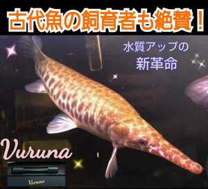 古代魚の飼育者も絶賛！水替え不要になる魔法の筒【ヴァルナミニ23cm】透明度抜群に！有害物質、病原菌も強力抑制！特許400以上の開発者！