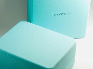 【TIFFANY&Co. 】ティファニー新作ブルーボックス　ピアス