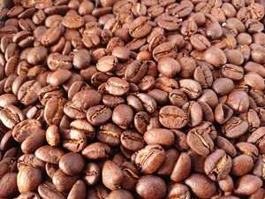 タンザニアAA コーヒー豆 自家焙煎 200ｇ ミディアムロースト 受注後に焙煎