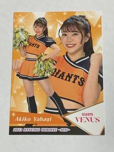 矢作明子 2023 BBM チアリーダー 舞 レギュラーカード 巨人 VENUS 即決