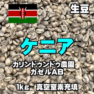 ケニア　カリンドゥンドゥ　ガゼルAB　コーヒー生豆