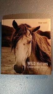 英語動物写真集「Wild Horses Endagered Beauty野生の馬」Traer Scott著　Merrell 2008年