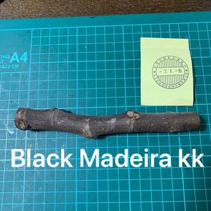 Black Madeira kk穂木　 イチジク穂木 いちじく穂木