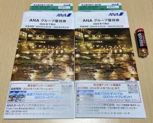 送料なし番号通知可　2枚セット　株主優待券　ANA 全日空　グループ優待券　冊子付き