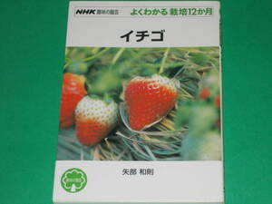 イチゴ★NHK趣味の園芸★よくわかる栽培12か月★矢部 和則★日本放送出版協会★NHK出版★