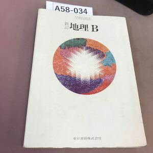 A58-034 新訂 地理B 東京書籍 文部省検定済教科書 書き込み・記名塗り潰し有り