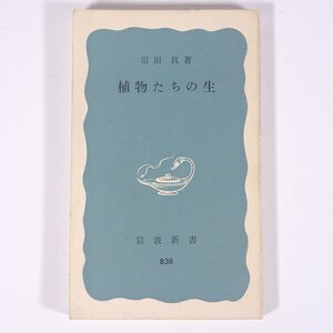 植物たちの生 沼田真 岩波新書 岩波書店 1976 新書サイズ 植物 野草 草花