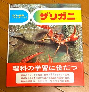 ザリガニ　カラー自然シリーズ２３　文 小田英智 写真 久保秀一　偕成社