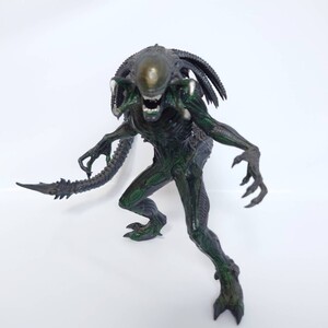 AVP エイリアンズVSプレデター プレデリアン　リアル　フィギュア　プレミアム