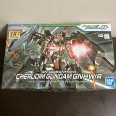 【新品・未開封】HG ケルディムガンダムGNHW/R