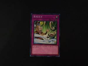 遊戯王 透破抜き ノーマル SD33 アジア 亜 中古良品 在庫9