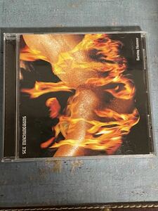 SEXMACHINEGUNSBURNING HAMMER CDアルバム