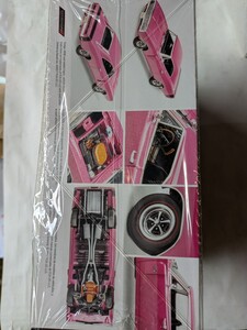 1/25 レベル ダッジ チャージャー R/T 1970 客注品 HEMI 開封 オーロラ AMT メビウス　モノグラム