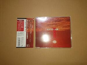 CD R-16(櫻井孝宏 鈴村健一) / 沈まない太陽