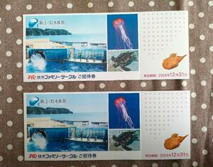 ★ 新江ノ島水族館　ご招待券ペア　送料無料　招待券 2枚セット ペア チケット 無料招待券★