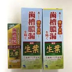 【お値下げ】新品 薬用 生葉歯磨き粉 100g×2本セットおまけ付き