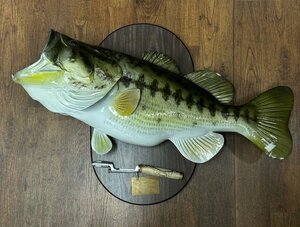 KING Sailfish MOUNTS社 WORLD RECORD LARGEMOUTH BASS REPLICA