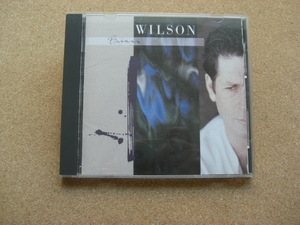 ＊Brian Wilson／Brian Wilson （25P2-2130）（日本盤）