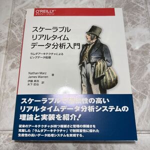 ☆未使用☆ スケーラブルリアルタイムデータ分析入門　ラムダアーキテクチャによるビッグデータ処理 