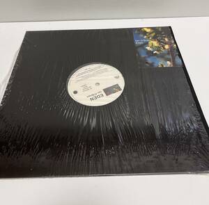 IAN O’BRIEN EDEN Yemura Theme from Apollo 12inch レコード 検 アンビエント チルアウト エレクトロニカ