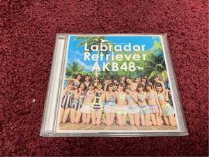 ラブラドール レトリーバー AKB48 cd CD シングル Single 8