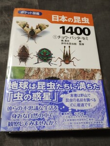 日本の昆虫１４００　１ （ポケット図鑑） 槐真史／編　伊丹市昆虫館／監修